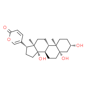 遠(yuǎn)華蟾蜍精